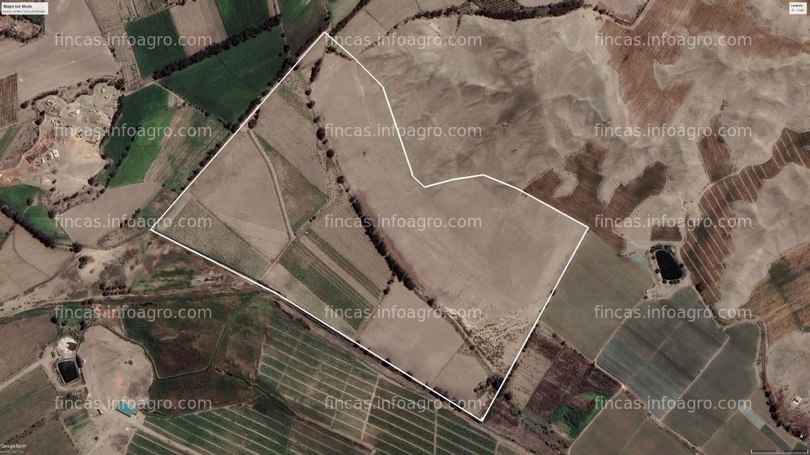 Fotos de A la venta Fundo en Irrigación San Felipe - Végueta