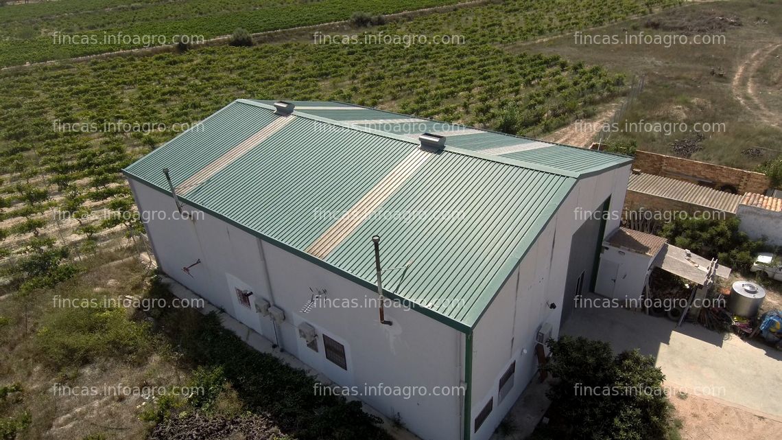 Fotos de En venta  VENTA: EXPLOTACIÓN AGRÍCOLA EN REQUENA