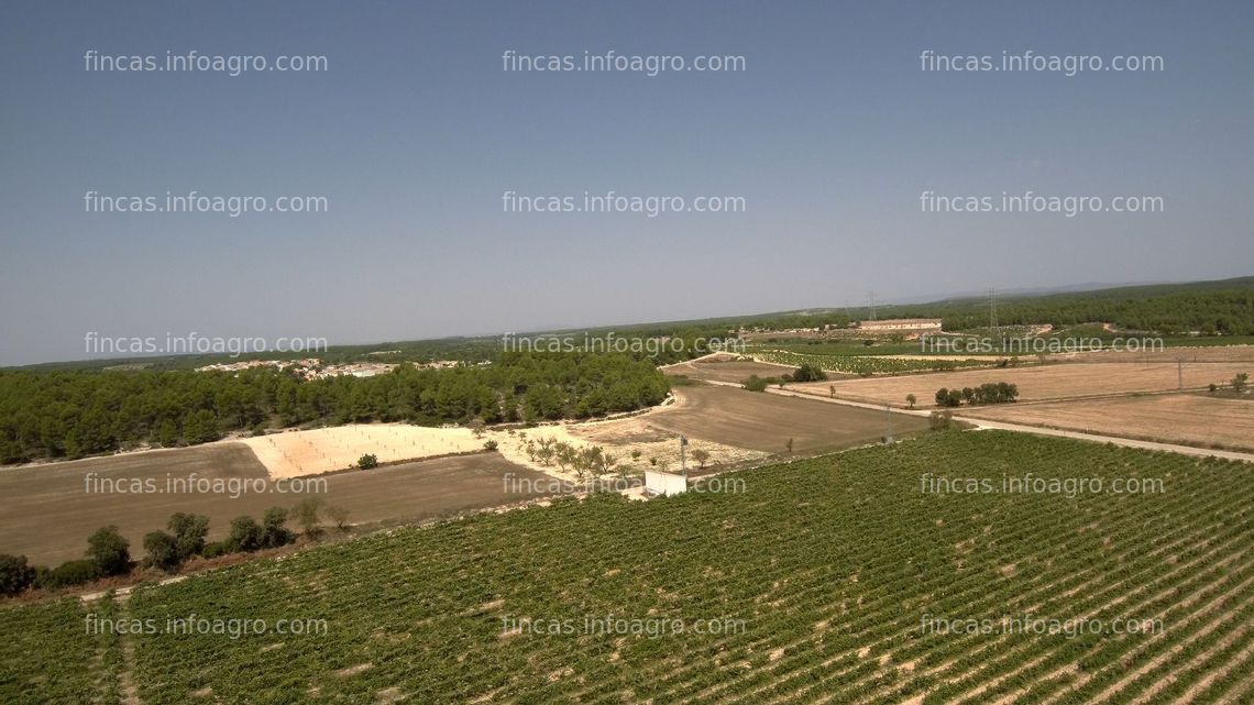 Fotos de En venta  VENTA: EXPLOTACIÓN AGRÍCOLA EN REQUENA