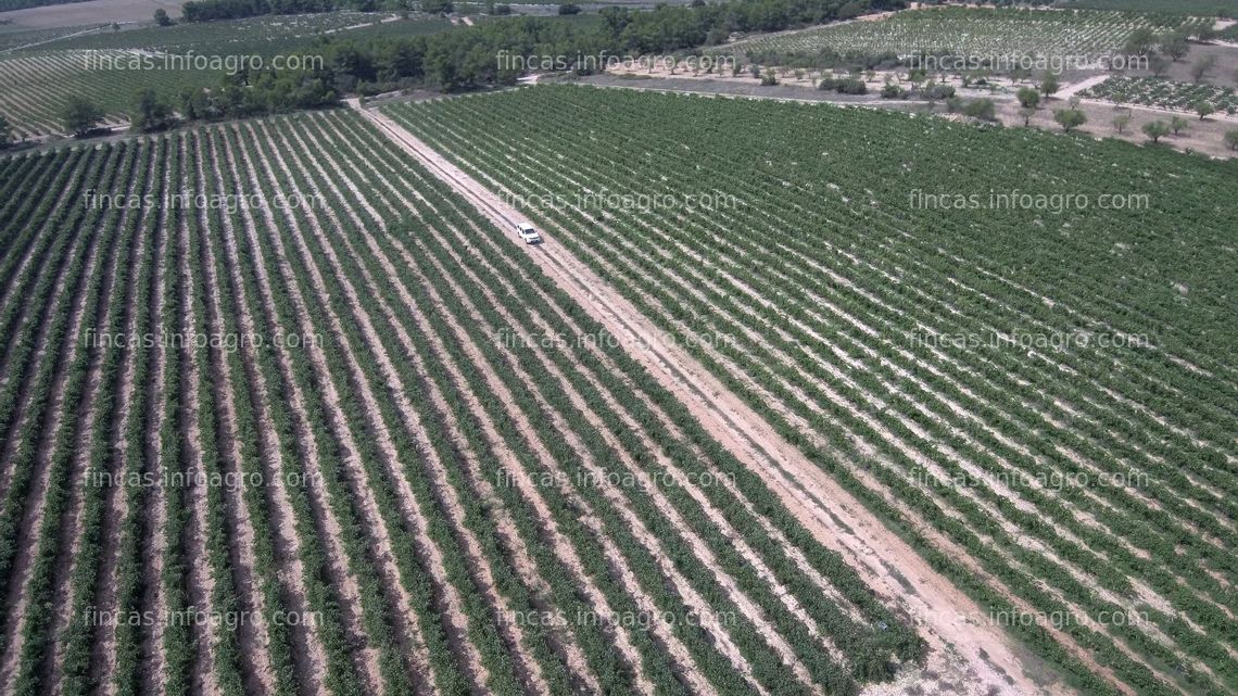 Fotos de En venta  VENTA: EXPLOTACIÓN AGRÍCOLA EN REQUENA