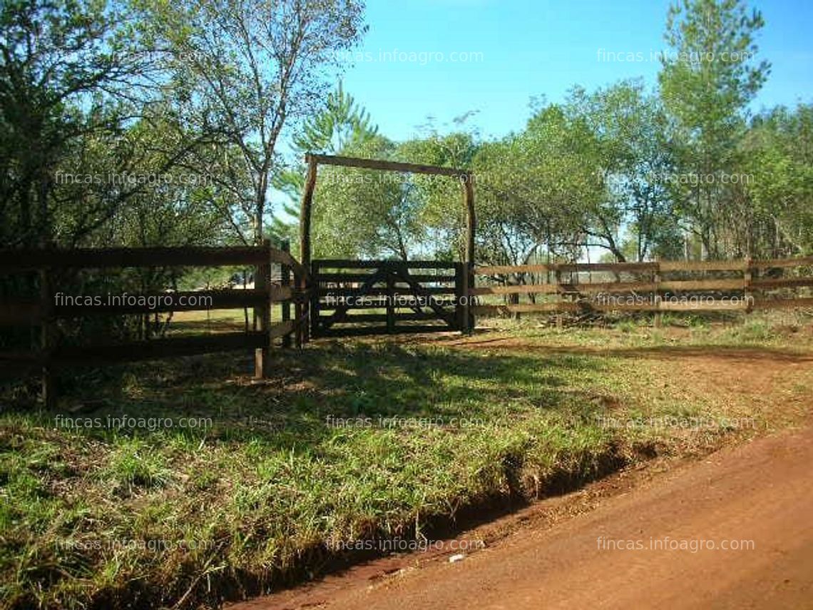 Fotos de Se vende "campo apto para agricultura y ganadería, con permiso de deforestación" 