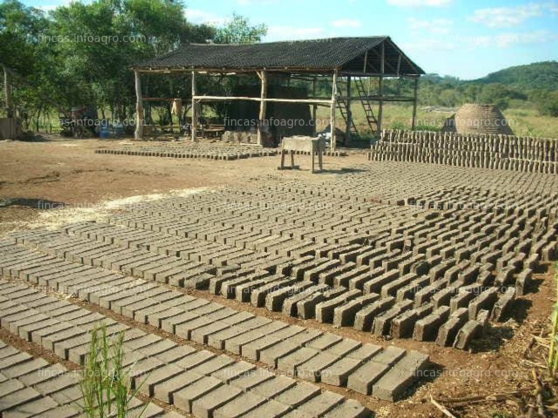 Fotos de Se vende "campo apto para agricultura y ganadería, con permiso de deforestación" 