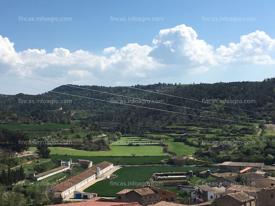 Fotos de En venta  GRANJA POLLOS EN VENTA