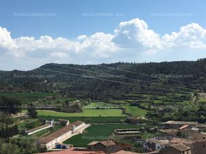 En venta  GRANJA POLLOS EN VENTA