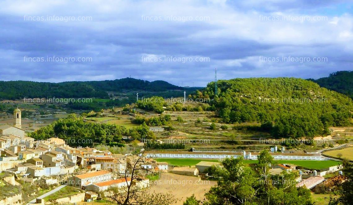 Fotos de En venta  GRANJA POLLOS EN VENTA