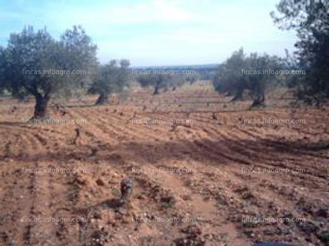 Fotos de Se vende o Finca Rustica de casi 9 hectáreas al Suroeste de MADRID