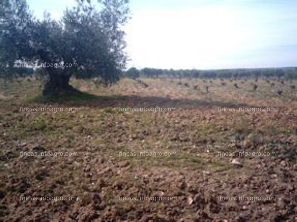 Fotos de Se vende o Finca Rustica de casi 9 hectáreas al Suroeste de MADRID