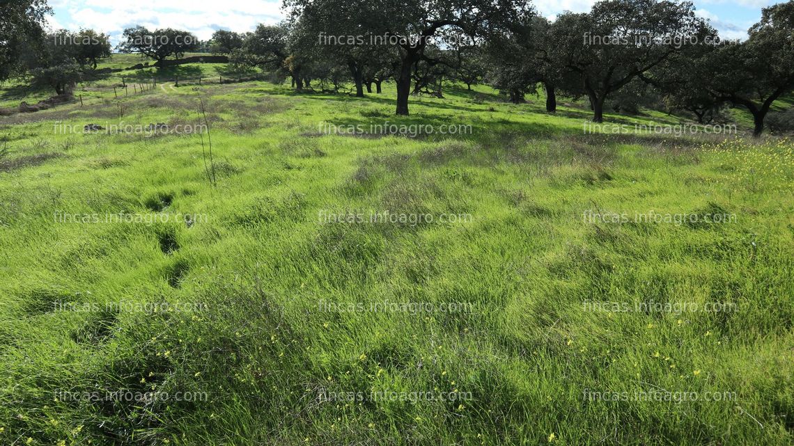 Fotos de Se vende Activar derecho región 103 pac22 en 270ha