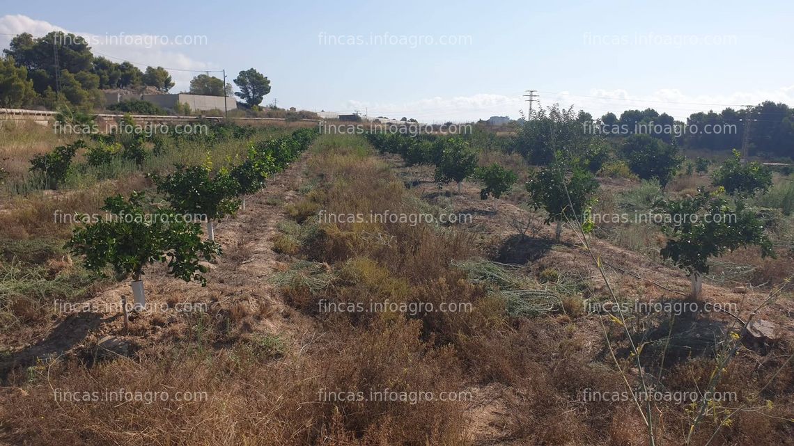 Fotos de En venta  terreno agrícola 33.000m2