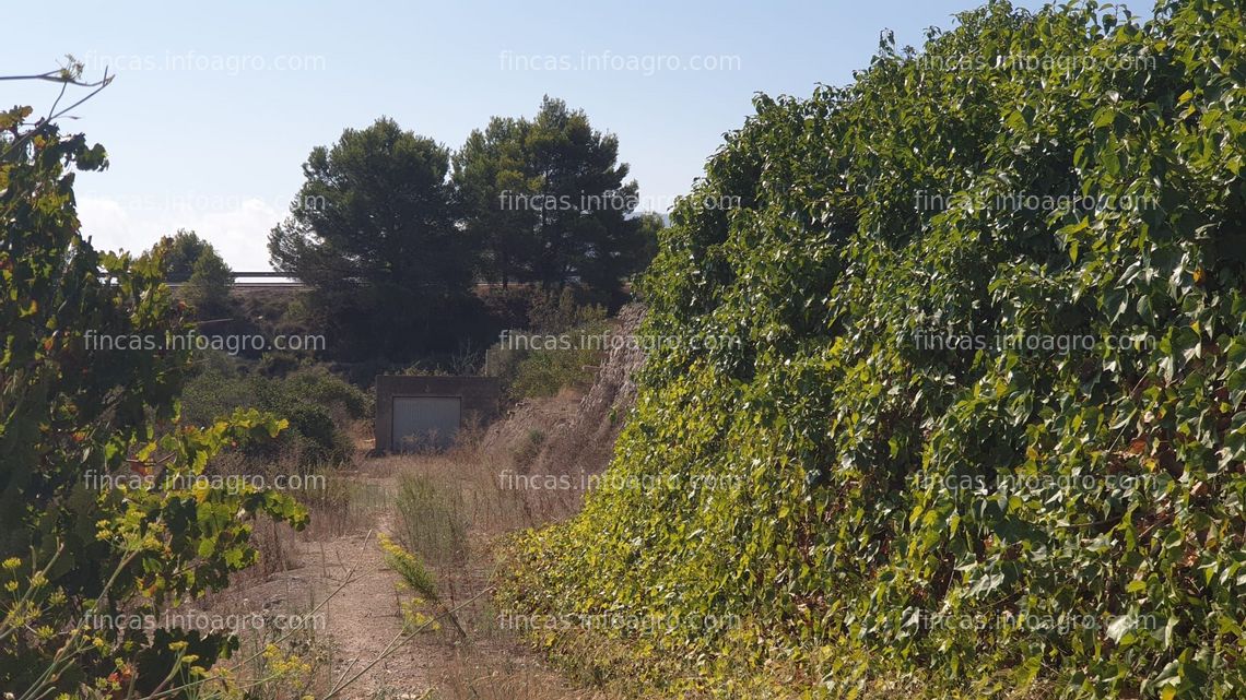 Fotos de En venta  terreno agrícola 33.000m2