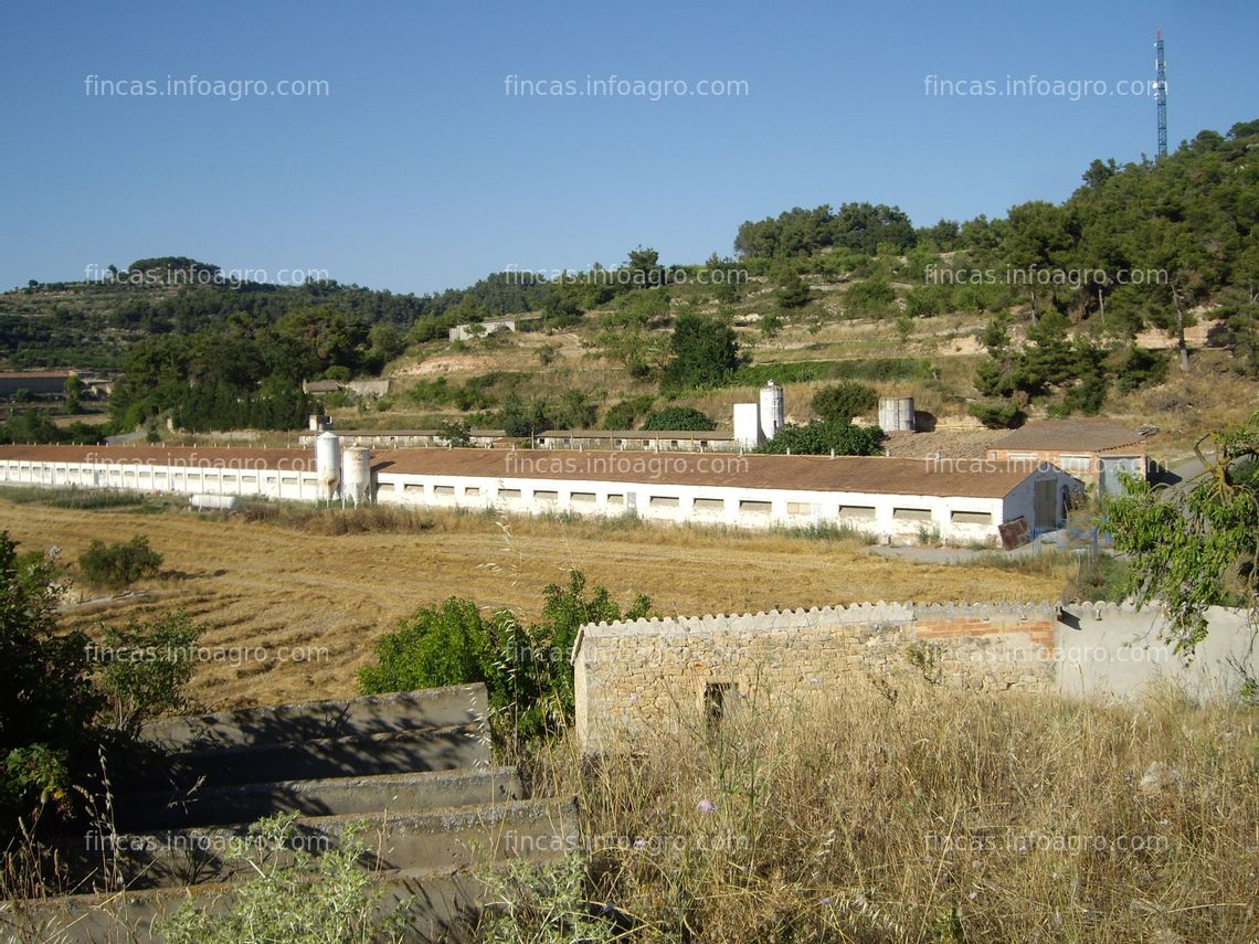 Fotos de En venta  GRANJA POLLOS