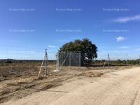 Fotos de A la venta terreno rústico madrid a 30min. por crta. extremadura