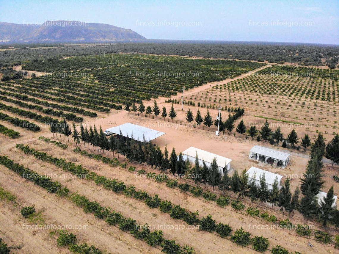 Fotos de Se vende operacion agricola