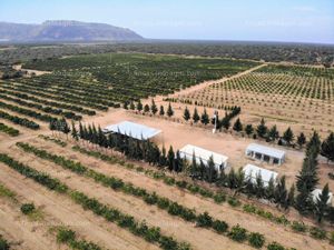 Se vende operacion agricola
