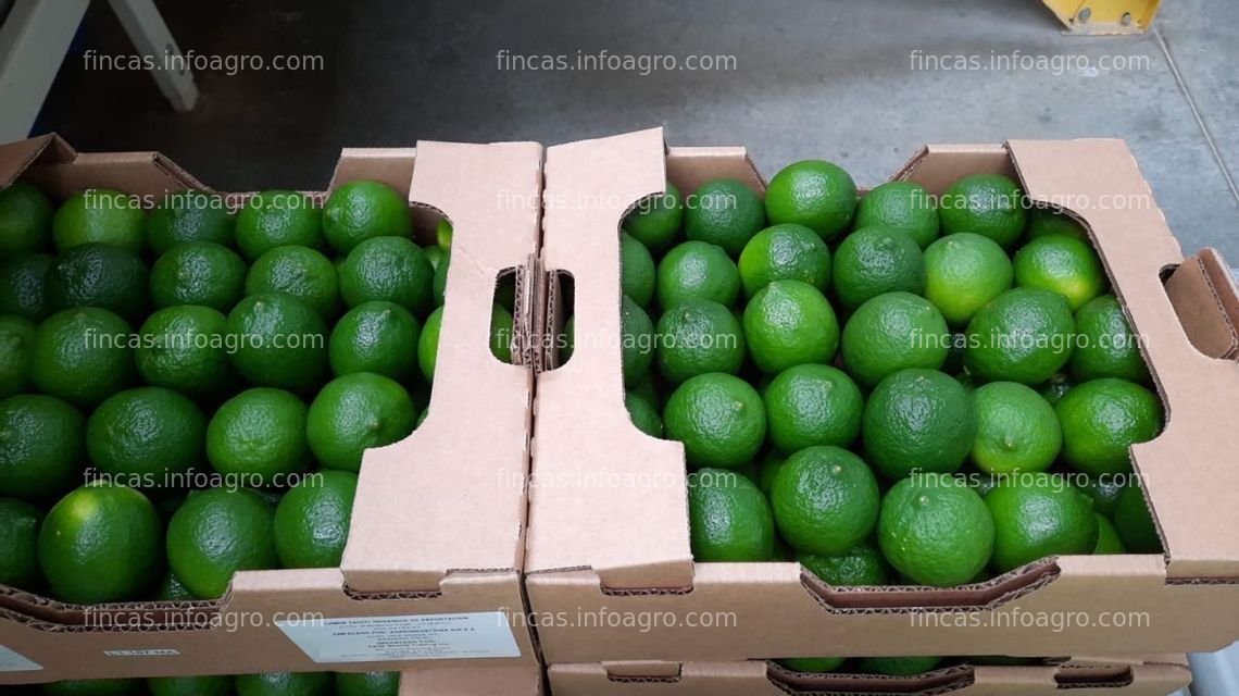 Fotos de Se vende operacion agricola