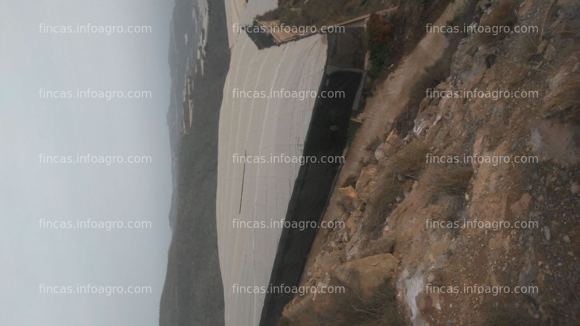 Fotos de A la venta Invernadero de 4500 m en dos piezas a pie de carretera muy soleado pista asfaltada balsa propia. De raspa y amagado plástico nuevo. Albuñol