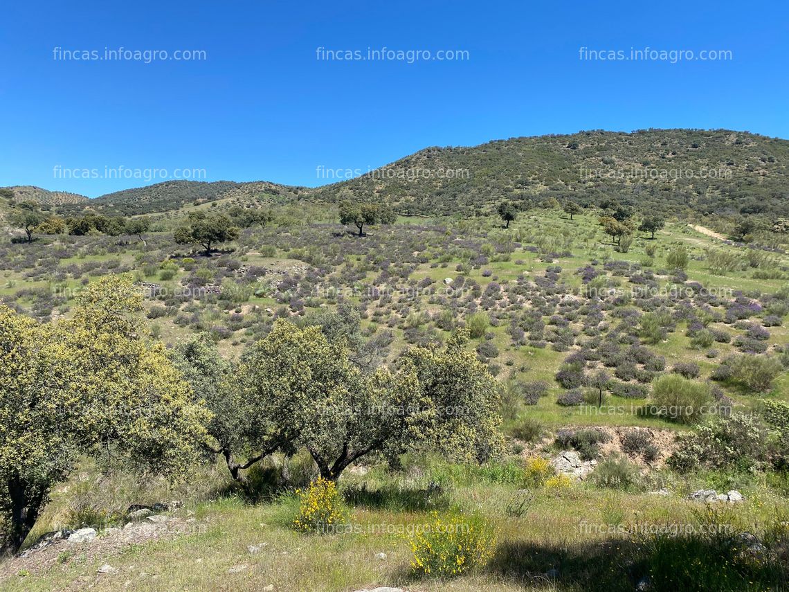 Fotos de En alquiler finca de secano 