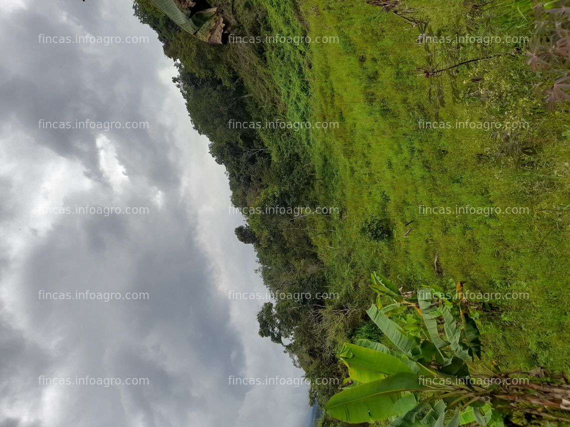 Fotos de En venta  Finca Frontino - Antioquia