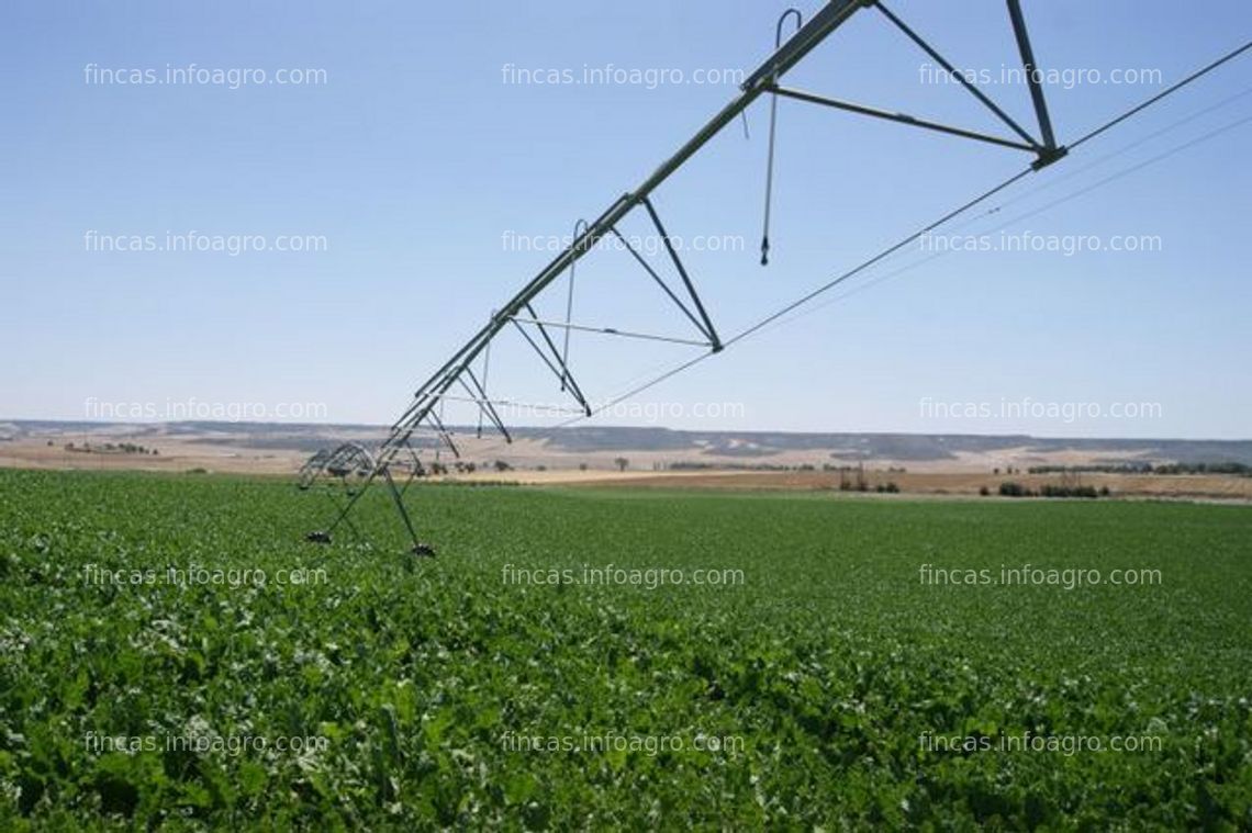 Fotos de En venta  finca de regadio