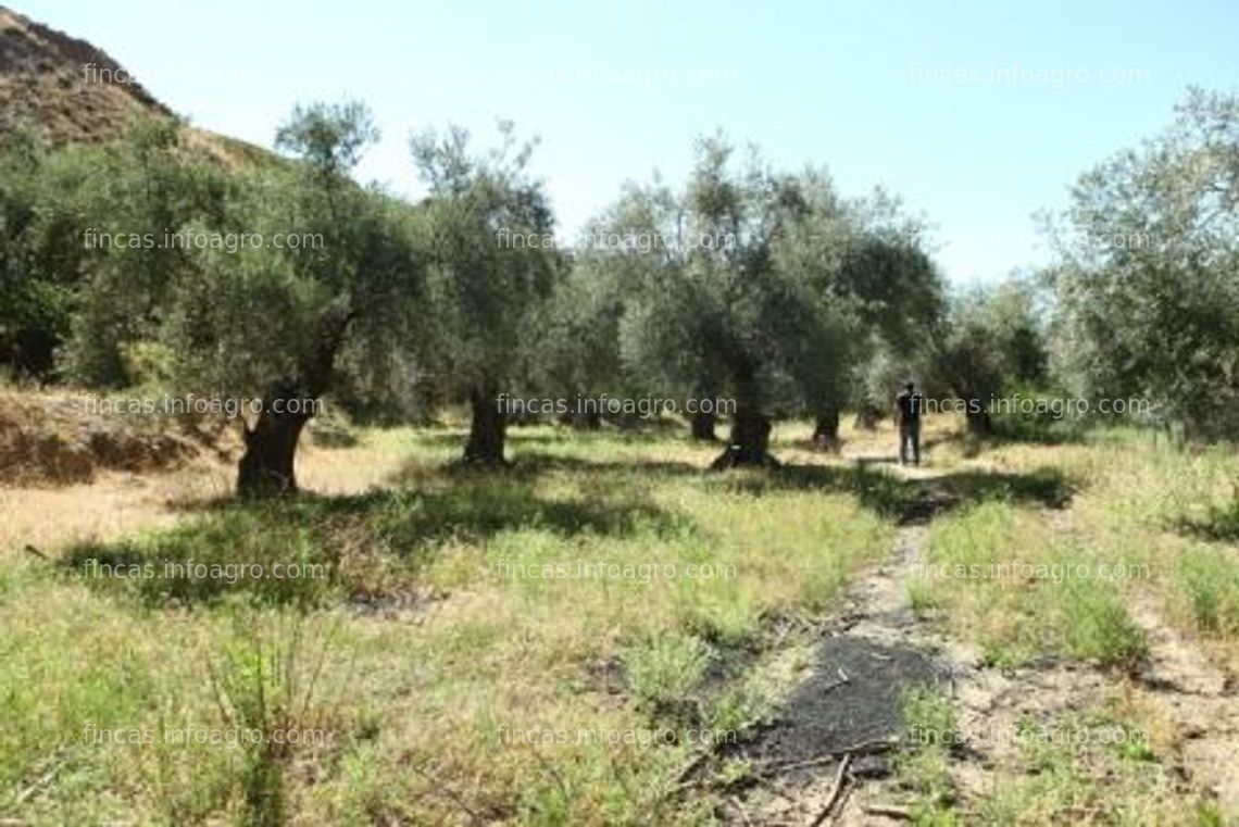 Fotos de A la venta EMPRESA DE EXPLOTACION AGRICOLA 