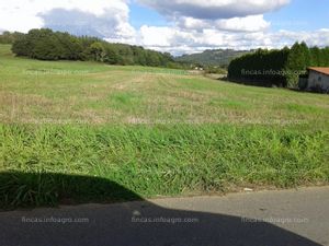 Se vende Finca rústica en Cañás, Carral.