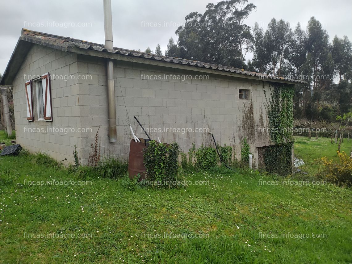 Fotos de En venta  Fin de semana  con terreno rustico de 4.000 m2 con invernaderos y arboles frutales.