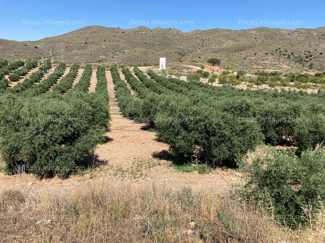 Fotos de A la venta Finca en Uleila del Campo