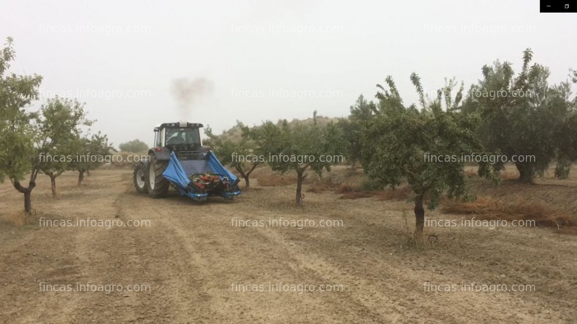 Fotos de Se vende Finca de Almendros y Olivos 