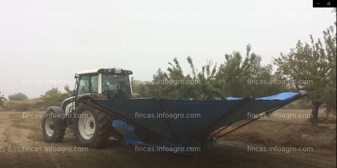 Fotos de Se vende Finca de Almendros y Olivos 