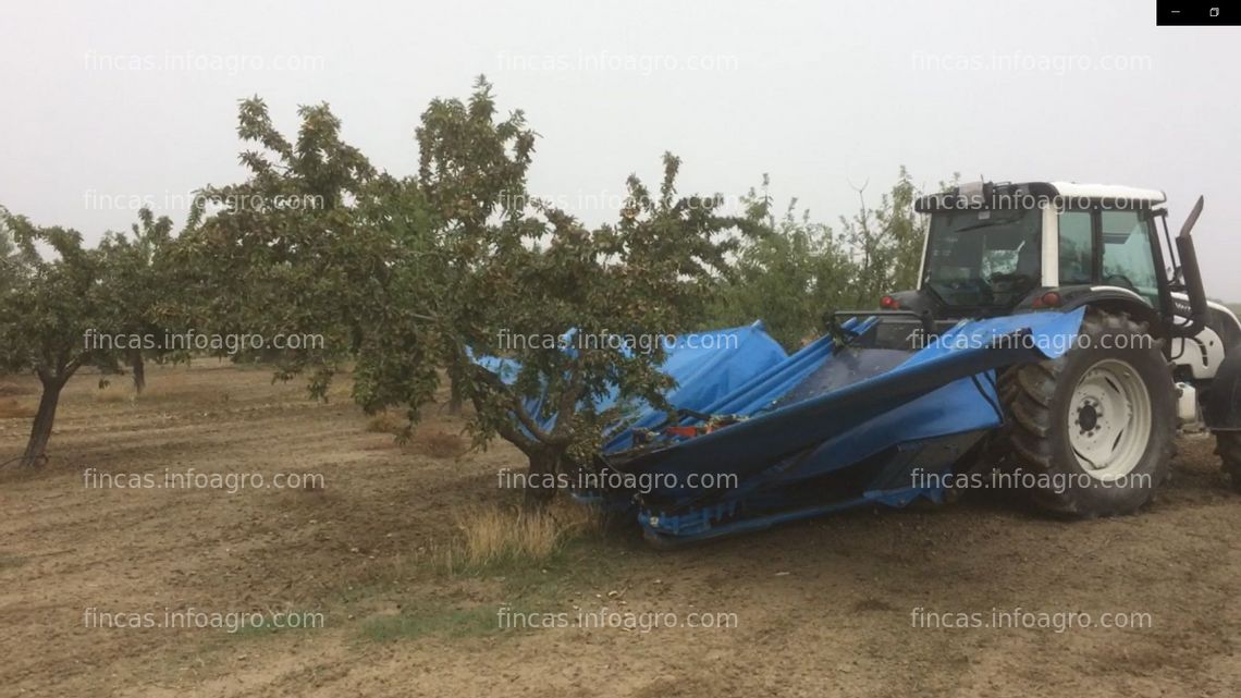 Fotos de Se vende Finca de Almendros y Olivos 