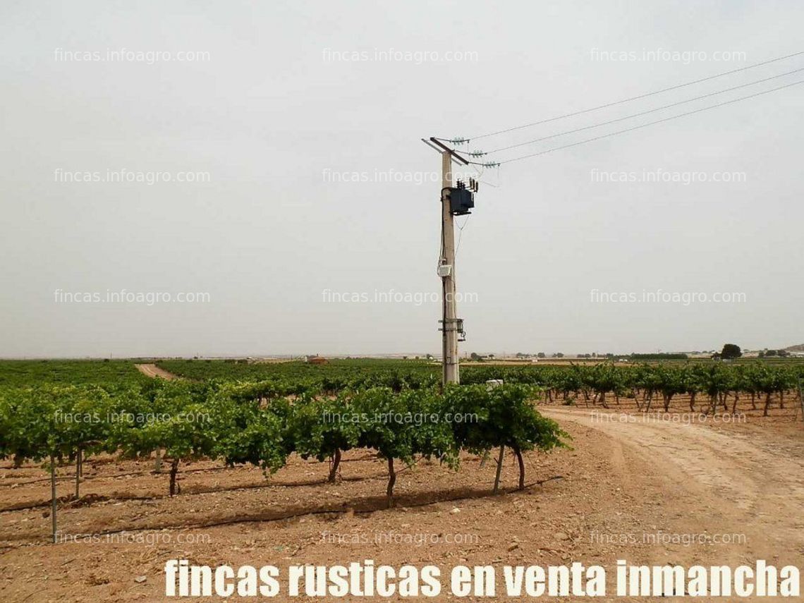 Fotos de Se vende fincas inmancha viña en espaldera regadío en Ciudad Real