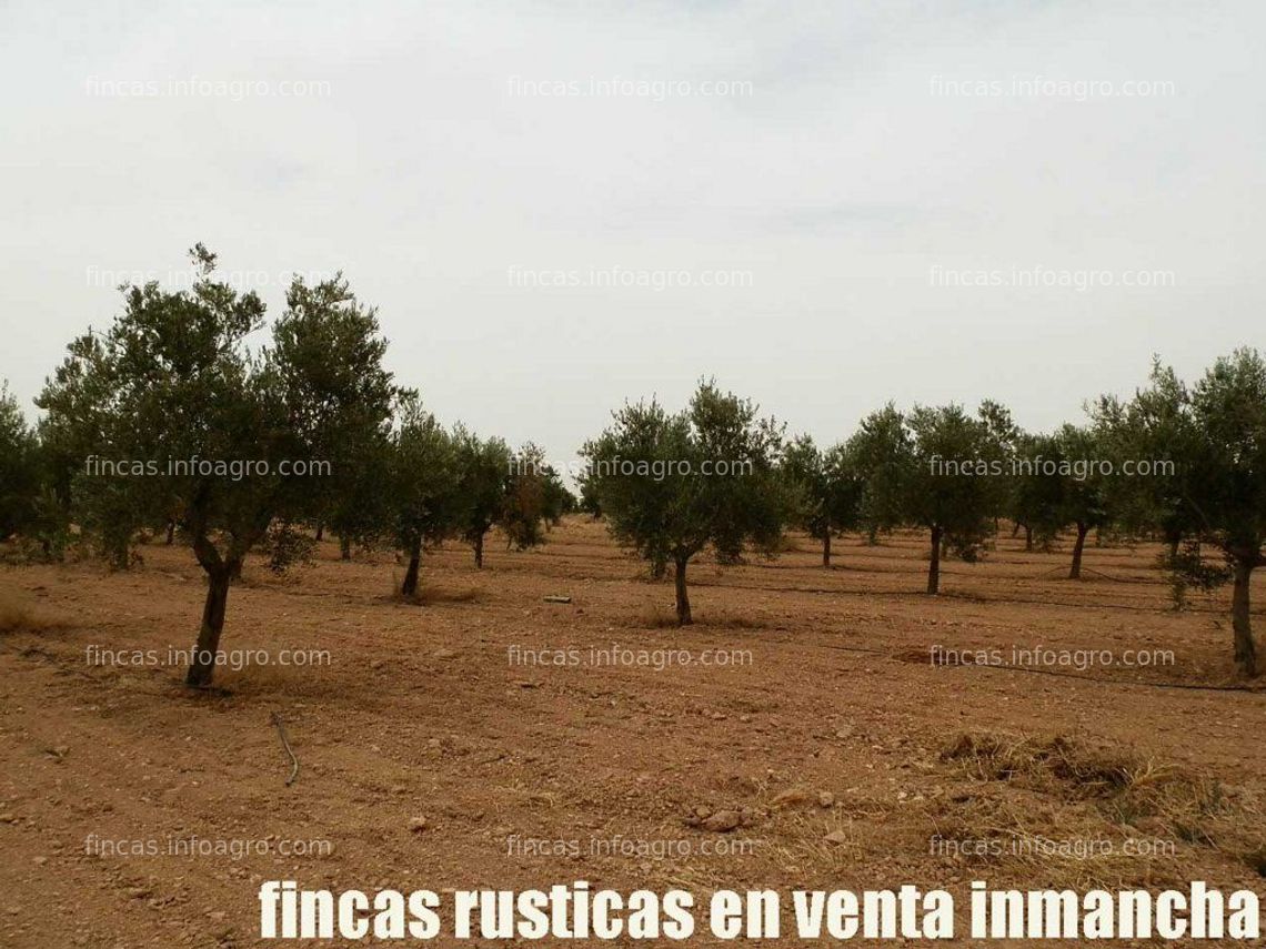 Fotos de En venta  fincas inmancha olivar viña regadío en Herencia (C.Real)