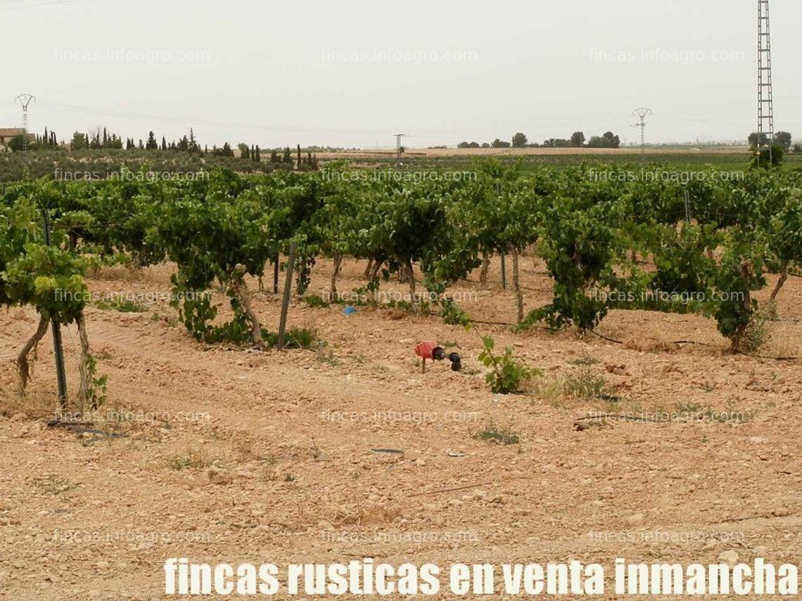 Fotos de En venta  fincas inmancha olivar viña regadío en Herencia (C.Real)