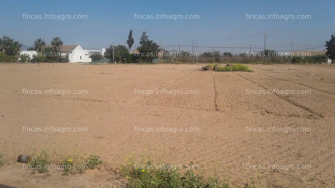 Fotos de A la venta FINCA EN LAS LOMAS DE ALBUJON