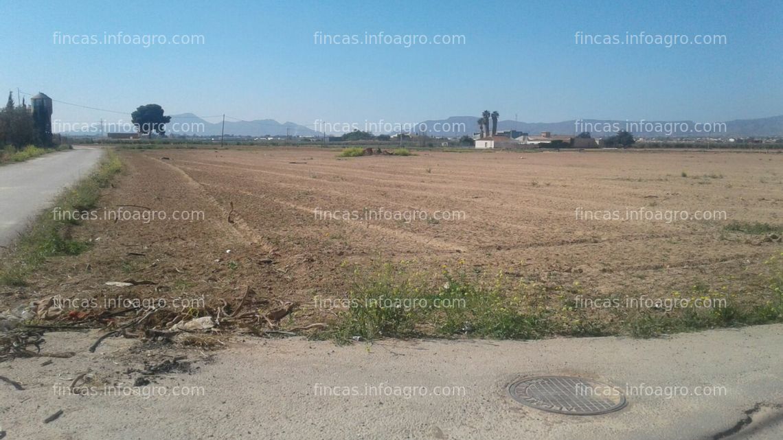 Fotos de A la venta FINCA EN LAS LOMAS DE ALBUJON