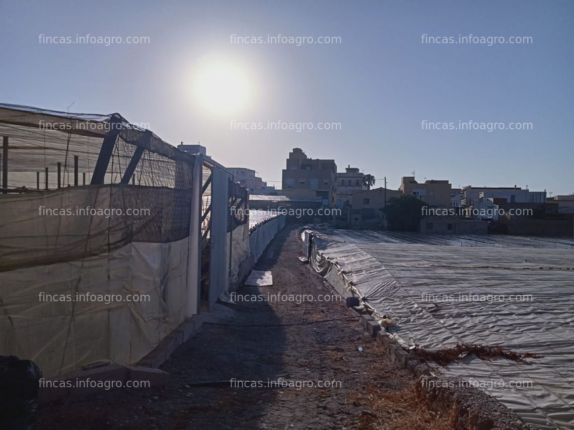 Fotos de Se vende Parcela invernada urbanizable 