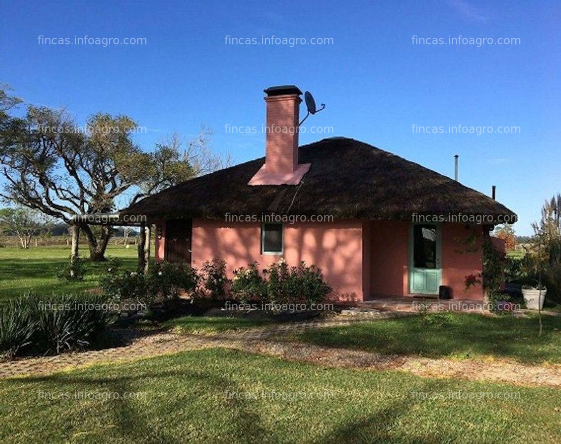 Fotos de A la venta En Uruguay Finca agrícola y ganadera de 925 has con costa de río- informes en España