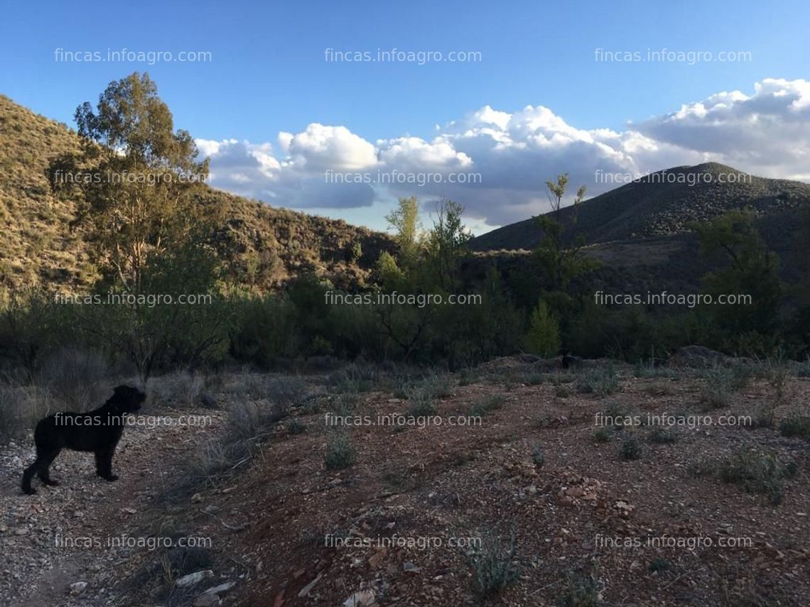 Fotos de A la venta Terreno rustico en rambla del puerco (ALTO DE LA JAROSA)