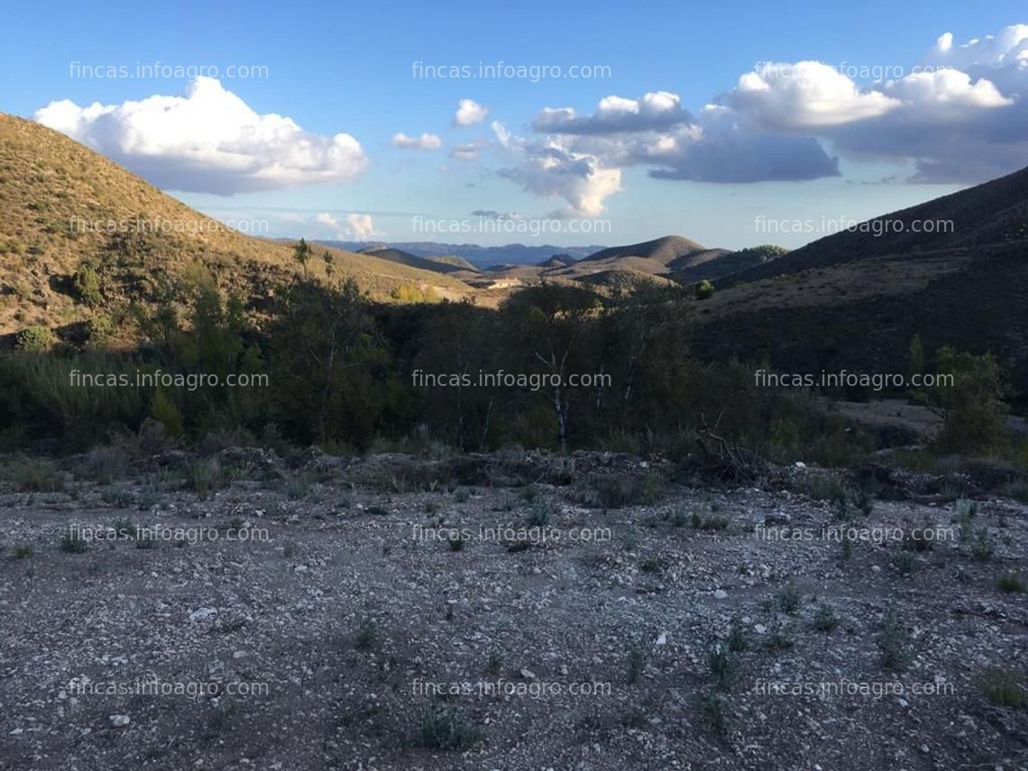 Fotos de A la venta Terreno rustico en rambla del puerco (ALTO DE LA JAROSA)