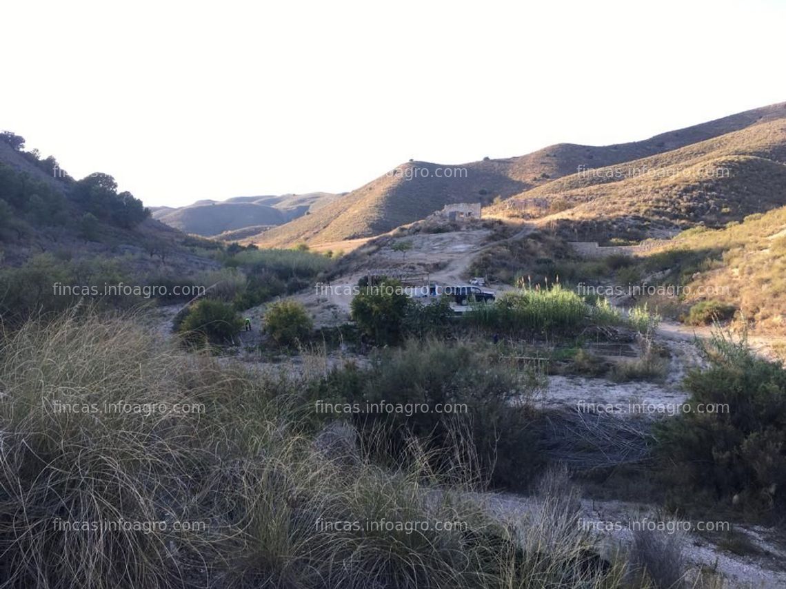 Fotos de A la venta Terreno rustico en rambla del puerco (ALTO DE LA JAROSA)