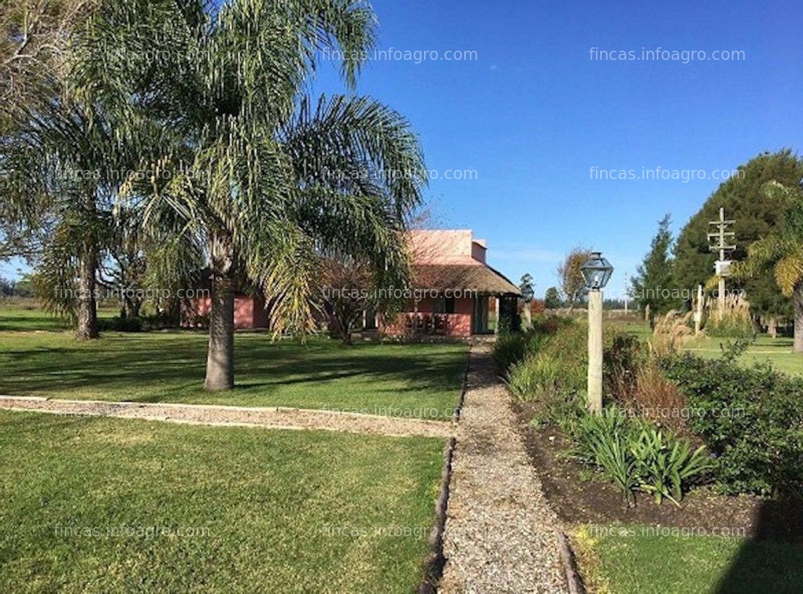 Fotos de En venta  Finca en Uruguay 923 Hectáreas agrícolas y ganaderas en Paysandu 