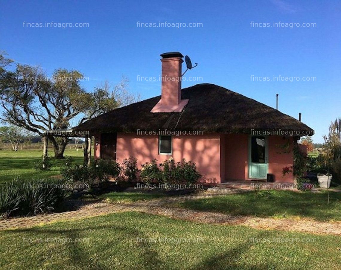 Fotos de En venta  Finca en Uruguay 923 Hectáreas agrícolas y ganaderas en Paysandu 