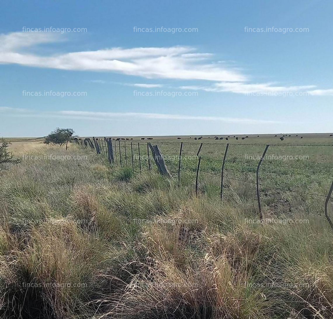 Fotos de En venta  625 Hectáreas en Argentina en la Provincia de Buenos Aires