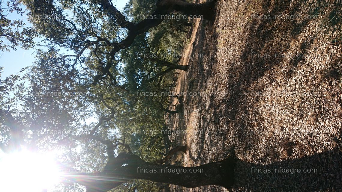 Fotos de En venta  FINCA GANADERA O DE OCIO