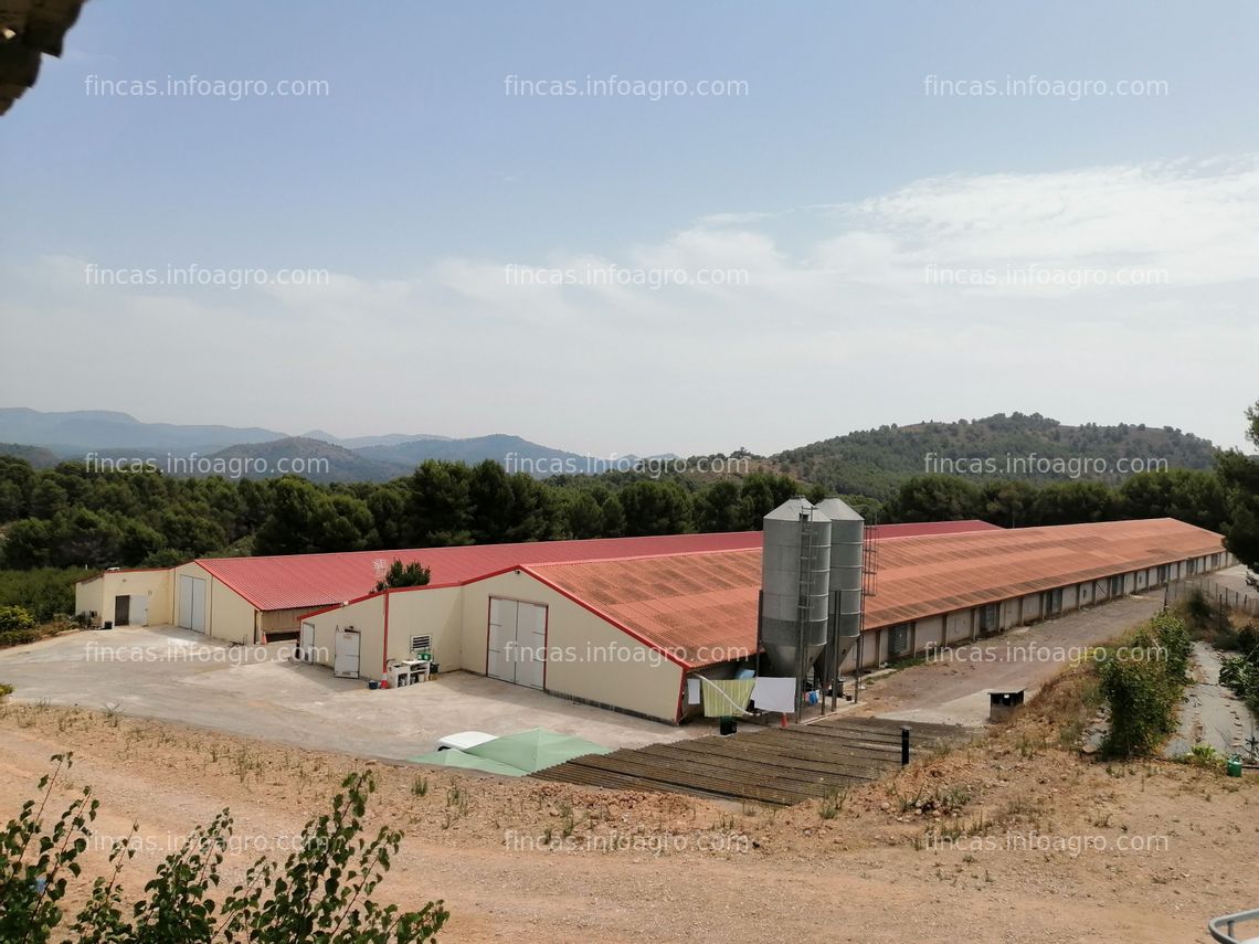 Fotos de En venta  granja de pollos con terreno de 8 hectareas