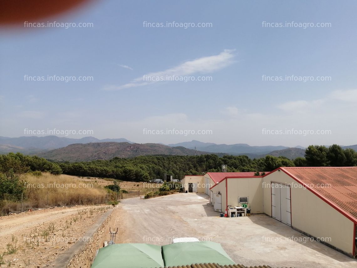 Fotos de En venta  granja de pollos con terreno de 8 hectareas