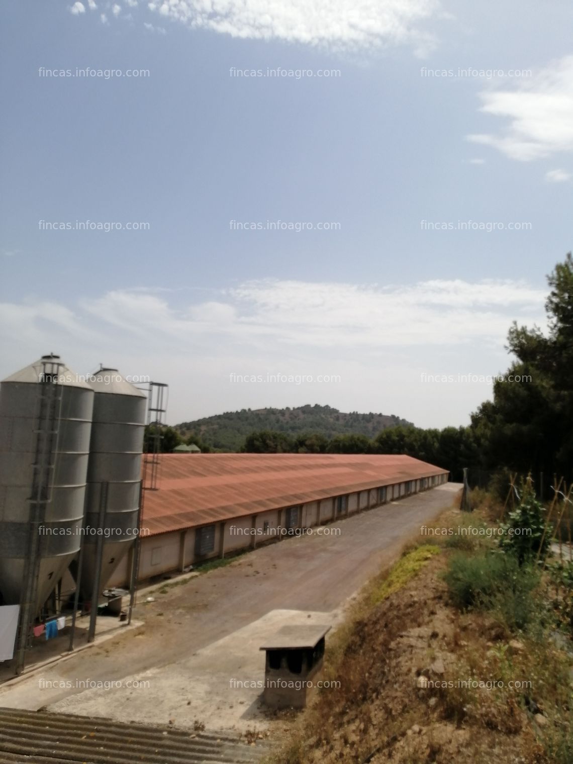 Fotos de En venta  granja de pollos con terreno de 8 hectareas