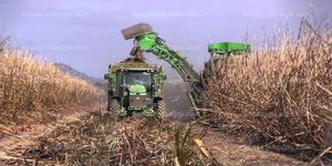 Se compra FINCAS MINIMO 1000 HECT. cultivo + terreno urbanizable