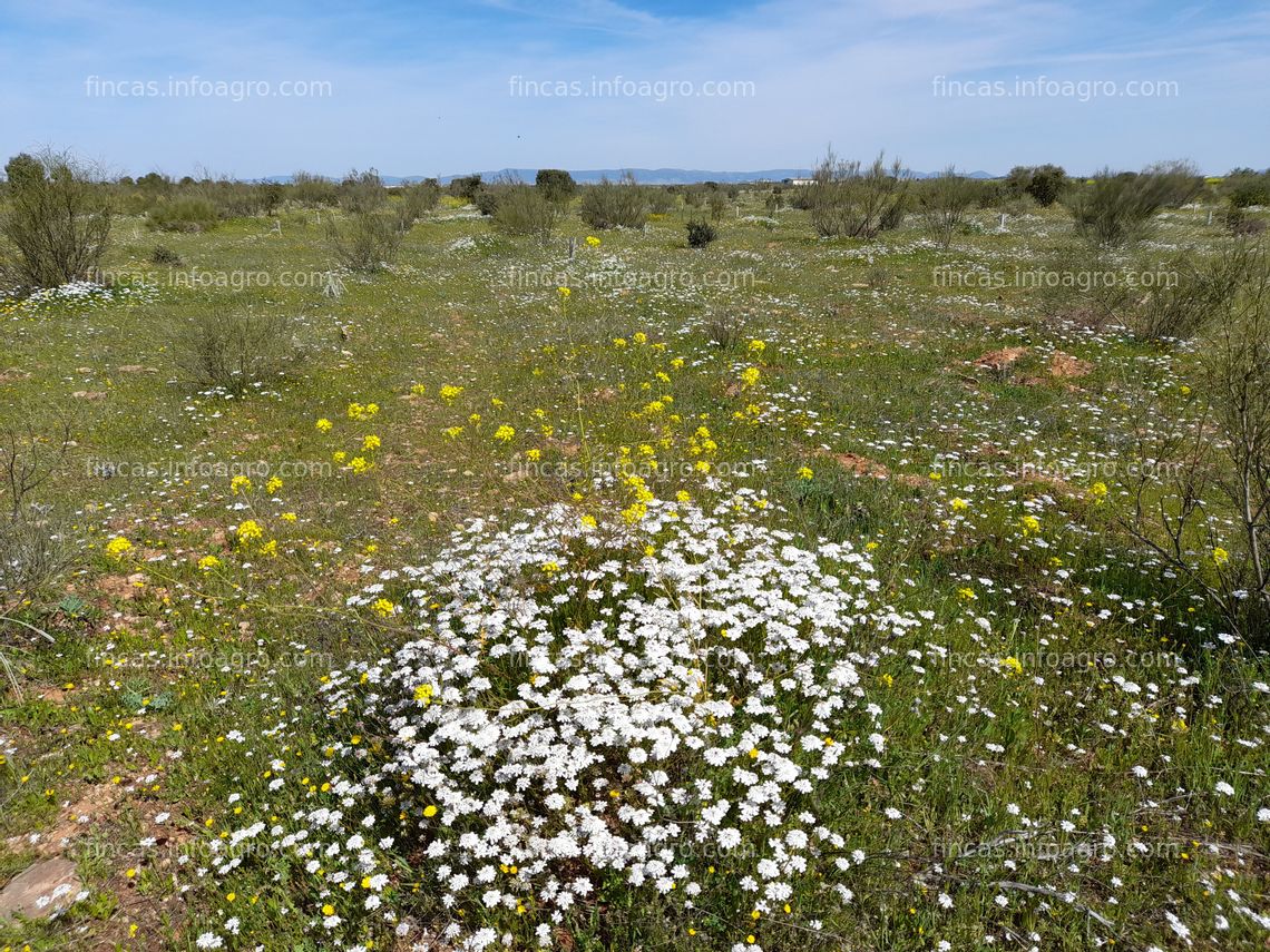 Fotos de A la venta parcela ( reforestaciones ) 7.1ha ( agua ) 