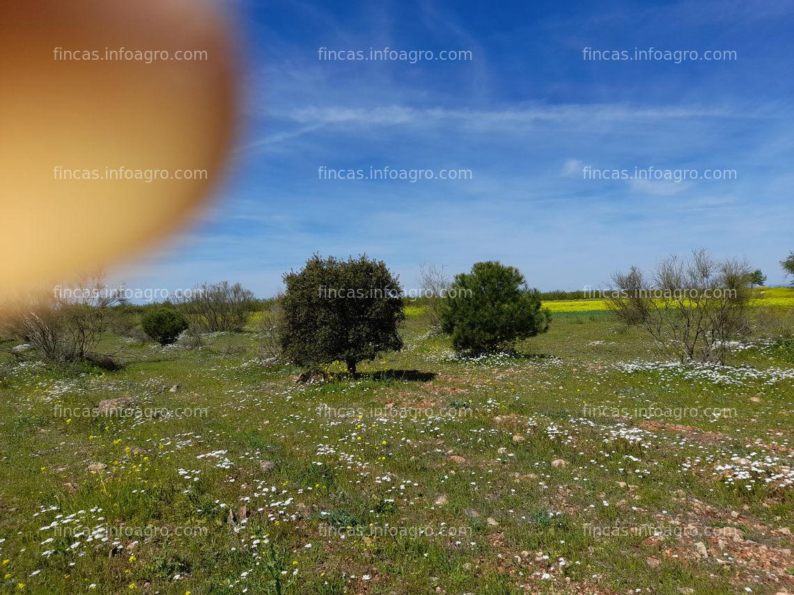 Fotos de A la venta parcela ( reforestaciones ) 7.1ha ( agua ) 